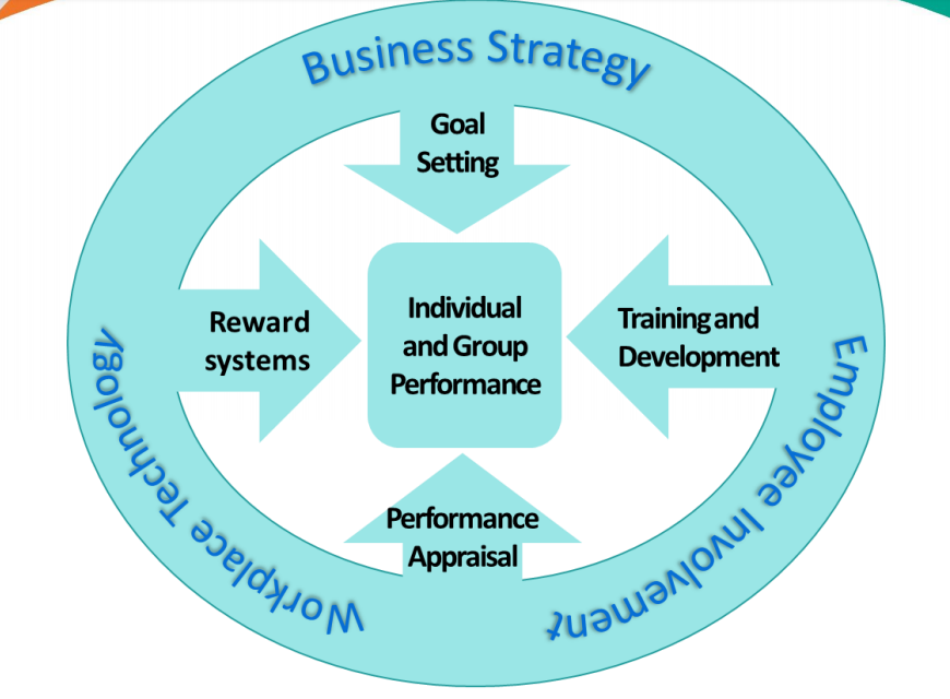 Business Strategy
Workplace Techng
Goal
Setting
Training and
Development
Individual
Reward
and Group
systems
Performance
Performance
Appraisal
chnl
