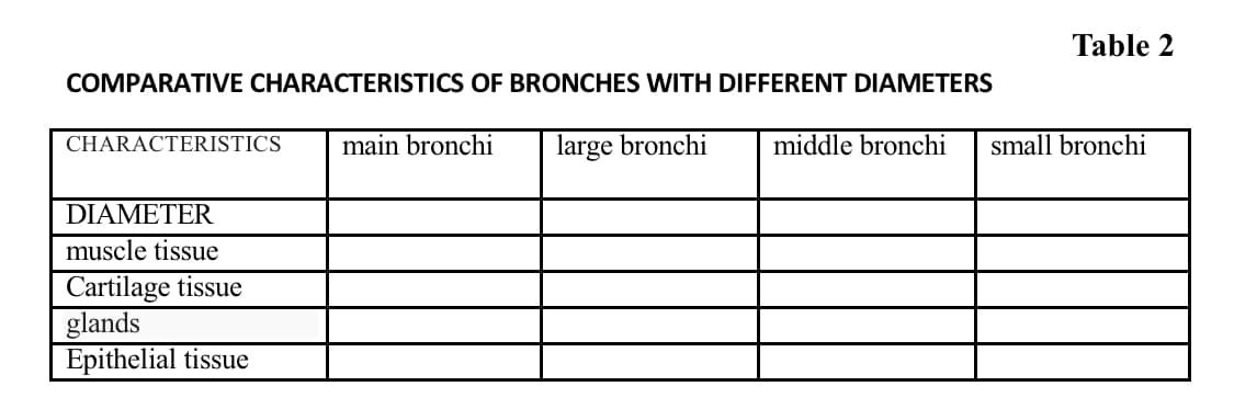 Table 2
COMPARATIVE CHARACTERISTICS OF BRONCHES WITH DIFFERENT DIAMETERS
main bronchi
large bronchi
middle bronchi
small bronchi
CHARACTERISTICS
DIAMETER
muscle tissue
Cartilage tissue
glands
Epithelial tissue
