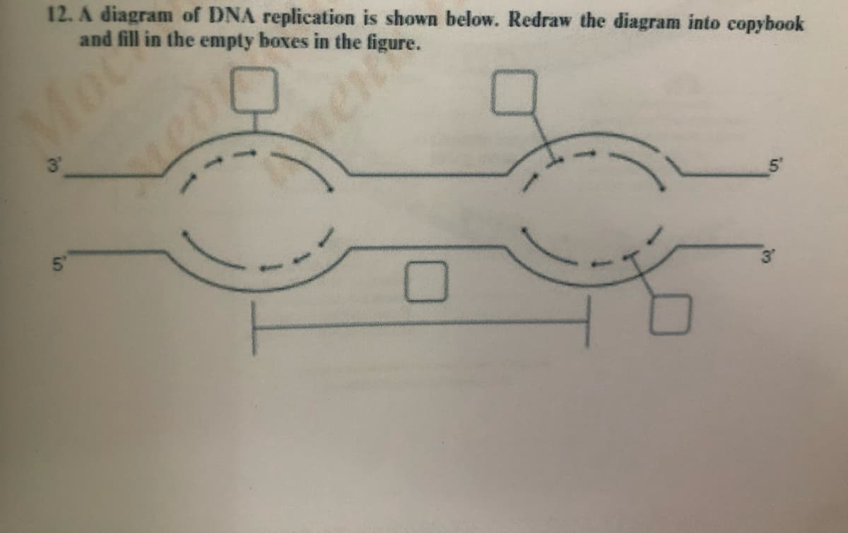 12. A diagram of DNA replication is shown below. Redraw the diagram into copybook
and fill in the empty boxes in the figure.
Moc
ven
in

