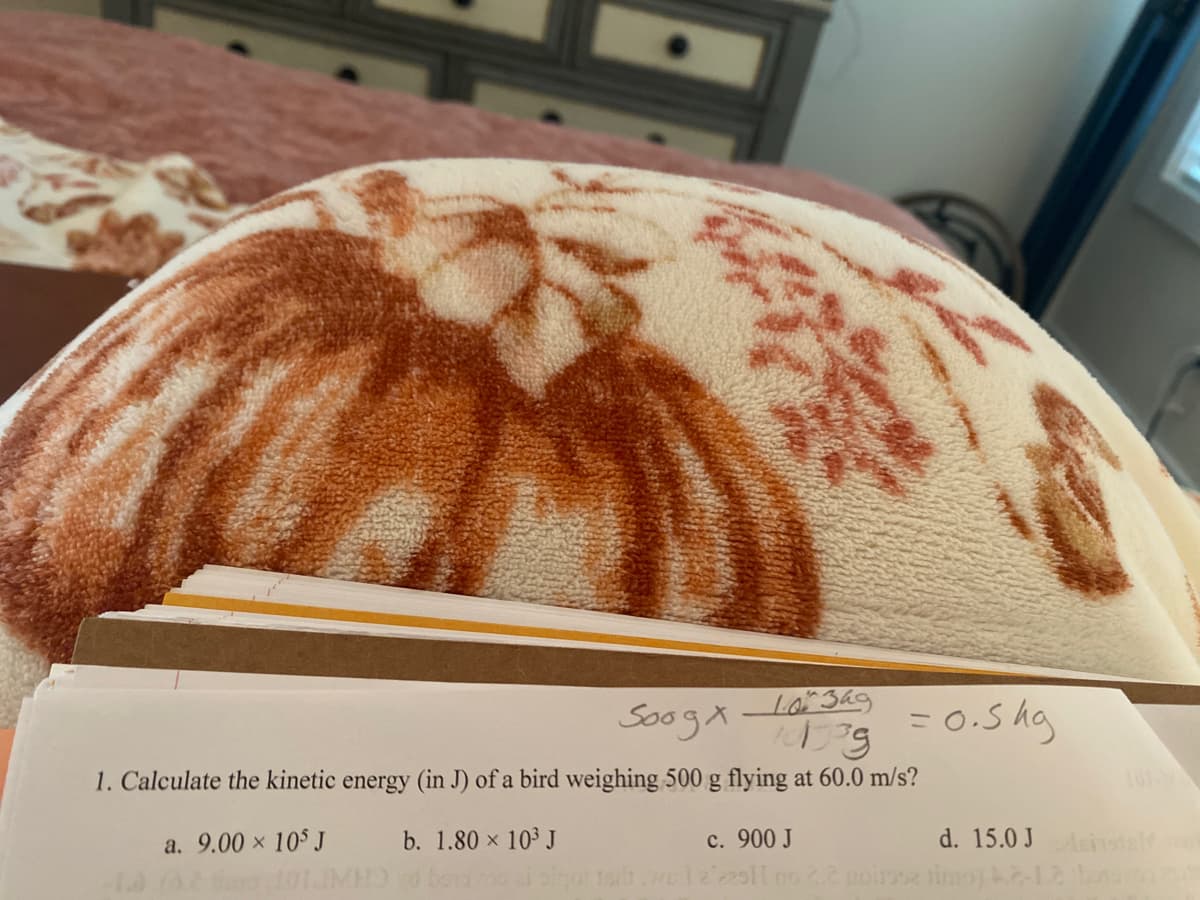 103ag
Soogx 1019 = 0.5kg
1. Calculate the kinetic energy (in J) of a bird weighing 500 g flying at 60.0 m/s?
a. 9.00 × 105 J
X
b. 1.80 × 10³ J
c. 900 J
d. 15.0 Jinsself on
1.0.0.2 in
ba pigot toilt.wel 2'229H no 2.2 aoirse timo) ke-Le boss o
101.IMHD