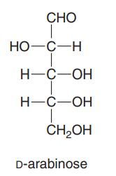 СНО
НО -С—н
H-C-OH
Н—С—ОН
CH,OH
D-arabinose
