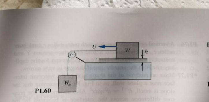 U-
W
|h
wth
Wo
lom
P1.60
