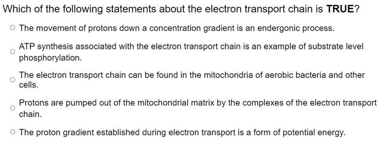 Which of the following statements about the electron transport chain is TRUE?
O The movement of protons down a concentration gradient is an endergonic process.
ATP synthesis associated with the electron transport chain is an example of substrate level
phosphorylation.
The electron transport chain can be found in the mitochondria of aerobic bacteria and other
cells.
Protons are pumped out of the mitochondrial matrix by the complexes of the electron transport
chain.
O The proton gradient established during electron transport is a form of potential energy.
