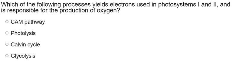 Which of the following processes yields electrons used in photosystems I and II, and
is responsible for the production of oxygen?
O CAM pathway
O Photolysis
o Calvin cycle
O Glycolysis
