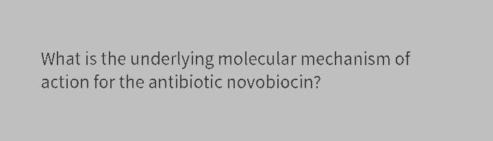 What is the underlying molecular mechanism of
action for the antibiotic novobiocin?
