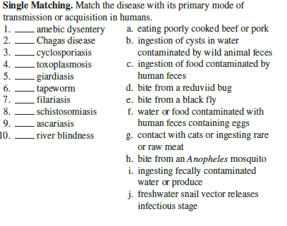 Single Matching. Match the disease with its primary mode of
transmission or acquisition in humans.
1.
- amebic dysentery
Chagas disease
- cyclosporiasis
toxoplasmosis
5. - giardiasis
a. eating poorly cooked beef or pork
b. ingestion of cysts in water
contaminated by wild animal feces
c. ingestion of food contaminated by
2.
3.
4.
human feces
d. bite from a reduviid bug
e. bite from a black fly
f. water or food contaminated with
human feces containing eggs
g. contact with cats or ingesting rare
or raw meat
h. bite from an Anopheles mosquito
i. ingesting fecally contaminated
water or produce
j. freshwater snail vector releases
infectious stage
6.
tapeworm
_filariasis
7.
8.
-schistosomiasis
9.
ascariasis
10.
river blindness
