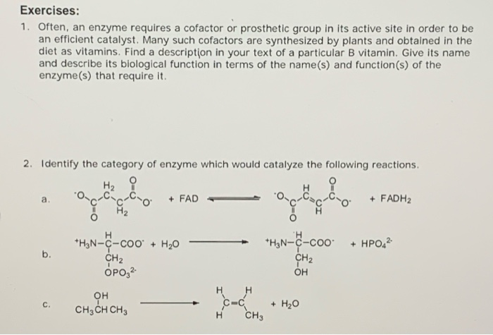 1. Often, an enzyme requires a cofactor or prosthetic group in its active site in order to be
an efficient catalyst. Many such cofactors are synthesized by plants and obtained in the
diet as vitamins. Find a description in your text of a particular B vitamin. Give its name
and describe its biological function in terms of the name(s) and function(s) of the
enzyme(s) that require it.
2. Identify the category of enzyme which would catalyze the following reactions.
H2 ?
+ FAD
+ FADH2
a.
+ HPO,
*H,N-C-coo + H20
CH2
OPO,2
*H,N-C-coo
CH2
b.
он
H H
он
CH3CH CH3
+ H20
CH3
C.
H.
