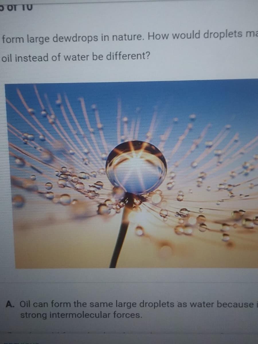 Oor TU
form large dewdrops in nature. How would droplets ma
oil instead of water be different?
A. Oil can form the same large droplets as water because
strong intermolecular forces.
