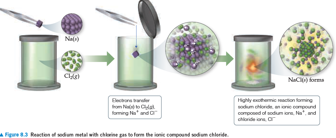 Na(s)
C2(g)
NaCl(s) forms
Highly exothermic reaction forming
sodium chloride, an ionic compound
composed of sodium ions, Nat, and
chloride ions, CI-
Electrons transfer
from Na(s) to Cl2(g).
forming Nat and CI
A Figure 8.3 Reaction of sodium metal with chlorine gas to form the ionic compound sodium chloride.
