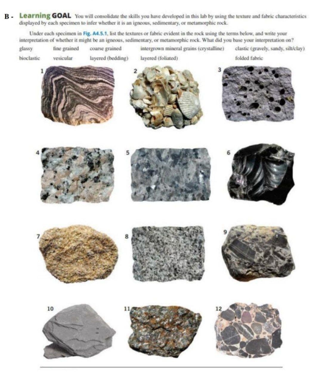 B - Learning GOAL You will consolidate the skills you have developed in this lab by using the texture and fabric characteristics
displayed by each specimen to infer whether it is an igneous, sedimentary, or metamorphic rock.
Under each specimen in Fig. A4.5.1, list the textures or fabric evident in the rock using the terms below, and write your
interpretation of whether it might be an igneous, sedimentary, or metamorphic rock. What did you base your interpretation on?
glassy
fine grained
coarse grained
intergrown mineral grains (crystalline)
clastic (gravely, sandy, silt/clay)
bioclastic
vesicular
layered (bedding)
layered (foliated)
folded fabric
1
10
12
