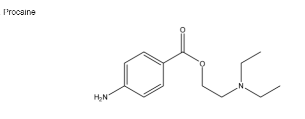 Procaine
H2N
