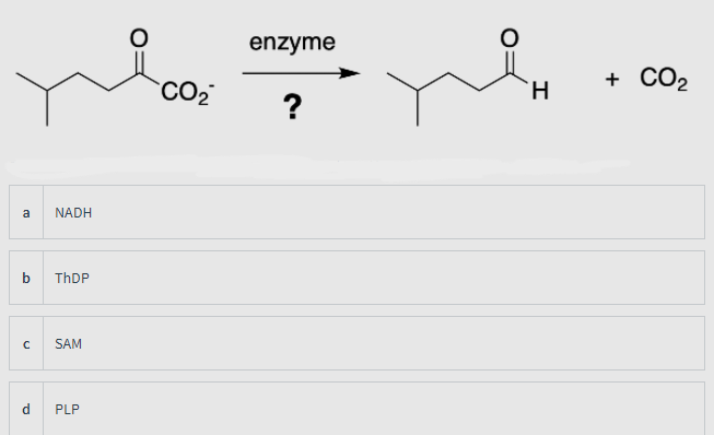 enzyme
CO2
+ CO2
H
?
a
NADH
THDP
SAM
d.
PLP
