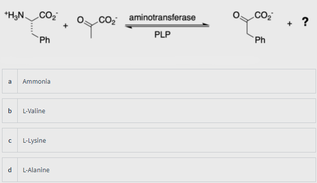 *H3N.
CO2
CO2
aminotransferase
CO2
?
PLP
Ph
Ph
a
Ammonia
L-Valine
L-Lysine
L-Alanine
