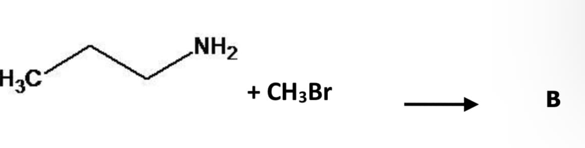 H3C
NH₂
+ CH3Br
B