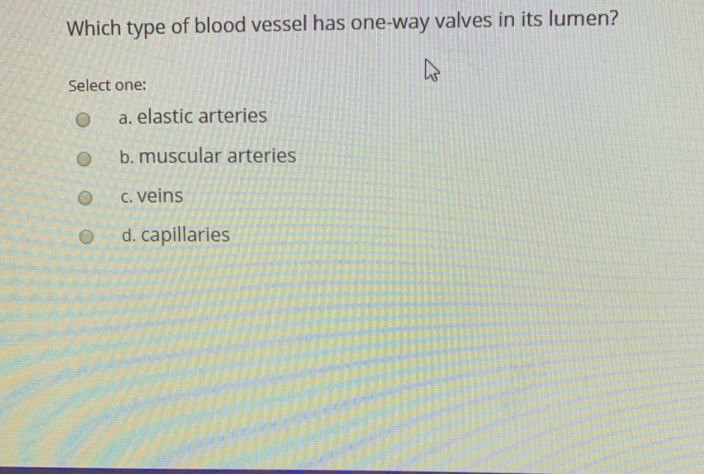 Which type of blood vessel has one-way valves in its lumen?
Select one:
a. elastic arteries
b. muscular arteries
C. veins
d. capillaries
