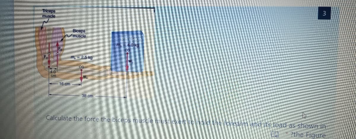 Triceps
muscle
3
Biceps
muscle
10 ko
m= 25 kg
cm
16 cm
38 cm
Calculate the force the biceps muscle must exentionolld the forearm and its load as shown in
?the Figure
