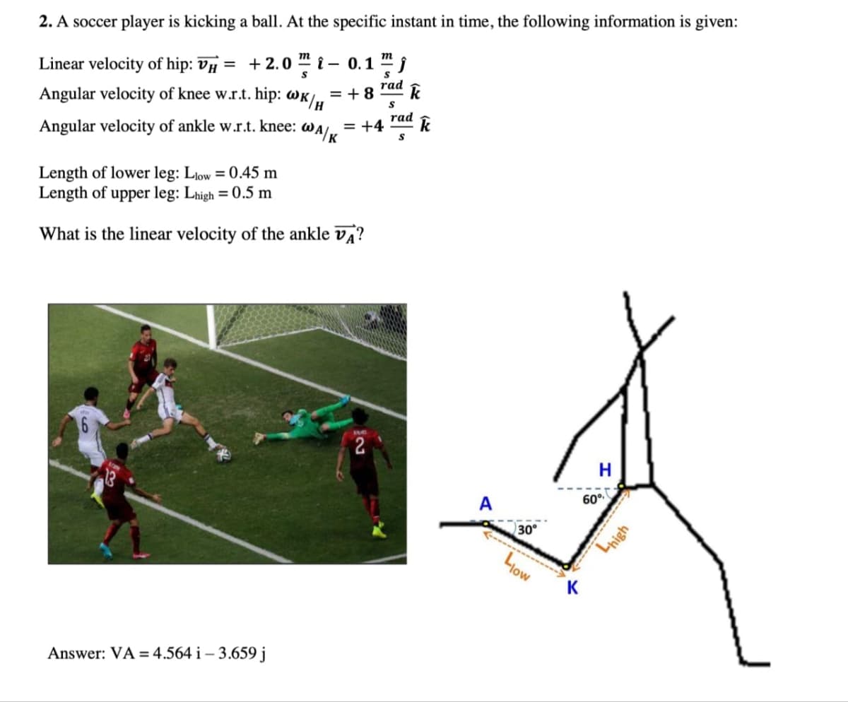 2. A soccer player is kicking a ball. At the specific instant in time, the following information is given:
m
Linear velocity of hip: VH = +2.0 -
Angular velocity of knee w.r.t. hip:
S
WK/H
0.1 mj
S
rad
rad
= +8
k
Angular velocity of ankle w.r.t. knee:
WA/K
= +4
S
Length of lower leg: Llow = 0.45 m
Length of upper leg: Lhigh = 0.5 m
What is the linear velocity of the ankle VA?
Answer: VA=4.564 i - 3.659 j
22
A
H
60°
30°
Low
Lhigh