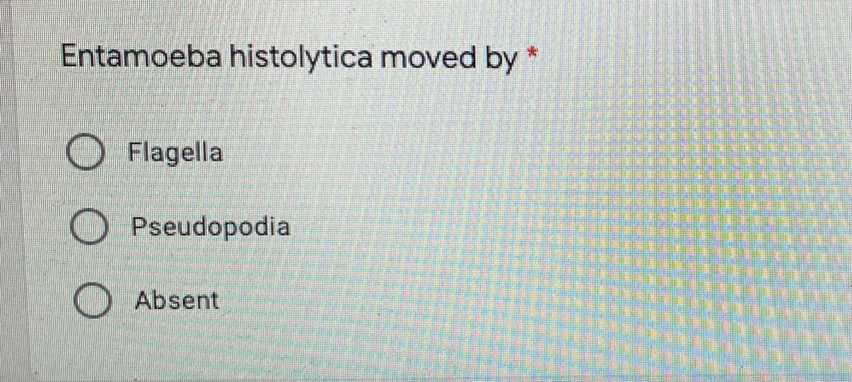 Entamoeba histolytica moved by
Flagella
Pseudopodia
Absent
