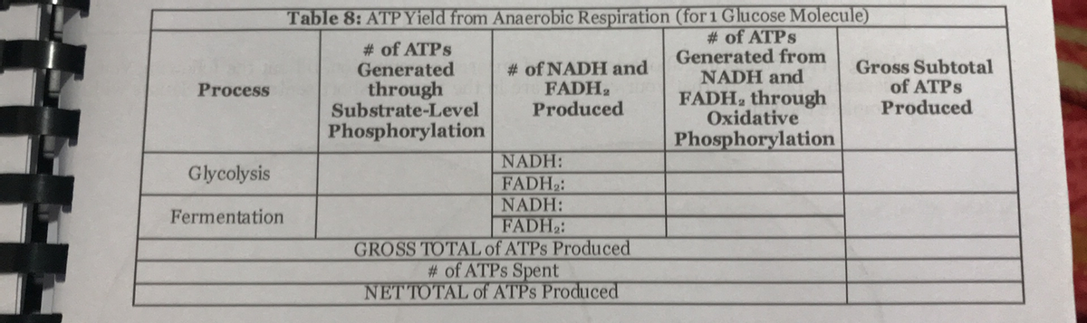 Table 8: ATP Yield from Anaerobic Respiration (for 1 Glucose Molecule)
# of ATPS
Generated
through
Substrate-Level
Phosphorylation
# of ATPS
Generated from
NADH and
FADH, through
Oxidative
# of NADH and
FADH,
Produced
Gross Subtotal
of ATPS
Produced
Process
Phosphorylation
NADH:
FADH2:
Glycolysis
NADH:
FADH2:
GROSS TOTAL of ATPS Produced
# of ATPS Spent
NETTOTAL of ATPS Produced
Fermentation
