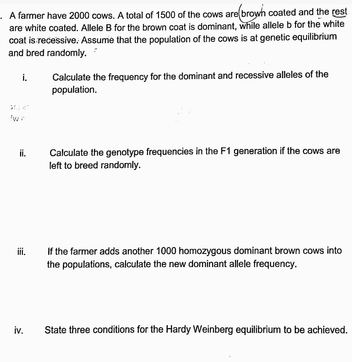 . A farmer have 2000 cows. A total of 1500 of the cows are browh coated and the rest
are white coated. Allele B for the brown coat is dominant, while allele b for the white
coat is recessive: Assume that the population of the cows is at genetic equilibrium
and bred randomly.
Calculate the frequency for the dominant and recessive alleles of the
population.
i.
Calculate the genotype frequencies in the F1 generation if the cows are
left to breed randomly.
ii.
If the farmer adds another 1000 homozygous dominant brown cows into
the populations, calculate the new dominant allele frequency.
ii.
iv.
State three conditions for the Hardy Weinberg equilibrium to be achieved.
