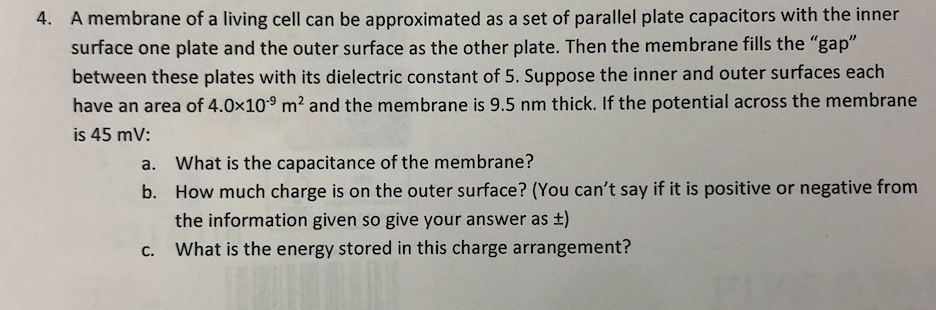 4. A membrane of a living cell can be approximated as a set of parallel plate capacitors with the inner
surface one plate and the outer surface as the other plate. Then the membrane fills the "gap"
between these plates with its dielectric constant of 5. Suppose the inner and outer surfaces each
have an area of 4.0x109 m² and the membrane is 9.5 nm thick. If the potential across the membrane
is 45 mV:
a. What is the capacitance of the membrane?
b. How much charge is on the outer surface? (You can't say if it is positive or negative from
the information given so give your answer as ±)
What is the energy stored in this charge arrangement?
C.
