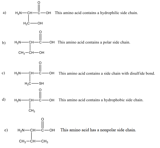 а)
H2N-CH-C-OH This amino acid contains a hydrophilic side chain.
H2C-OH
b)
H2N -CH-
-OH This amino acid contains a polar side chain.
CH3-CH-OH
c)
H2N-CH-
-OH This amino acid contains a side chain with disulfide bond.
H2Ċ-SH
d)
H2N-CH-C-OH This amino acid contains a hydrophobic side chain.
ČH3
e)
H2N-CH-C-OH This amino acid has a nonpolar side chain.
CH3-CH-CH3
