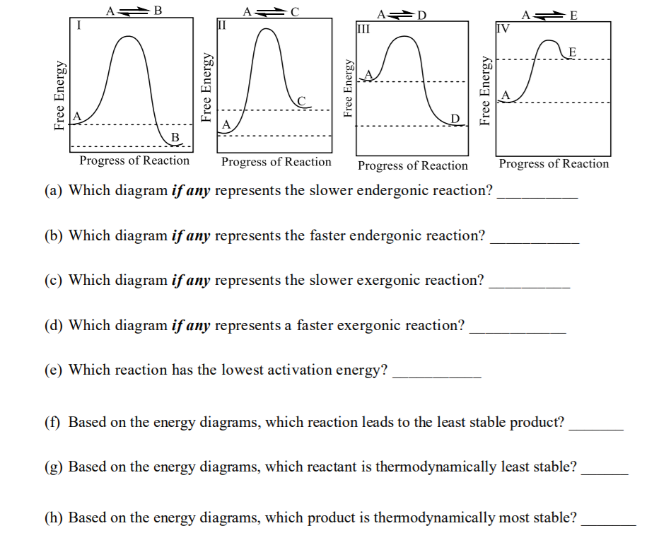 A B
A D
III
II
IV
E
C.
A
B
Progress of Reaction
Progress of Reaction
Progress of Reaction
Progress of Reaction
(a) Which diagram if any represents the slower endergonic reaction?
(b) Which diagram if any represents the faster endergonic reaction?
(c) Which diagram if any represents the slower exergonic reaction?
(d) Which diagram if any represents a faster exergonic reaction?
(e) Which reaction has the lowest activation energy?
(f) Based on the energy diagrams, which reaction leads to the least stable product?
(g) Based on the energy diagrams, which reactant is thermodynamically least stable?
(h) Based on the energy diagrams, which product is thermodynamically most stable?
