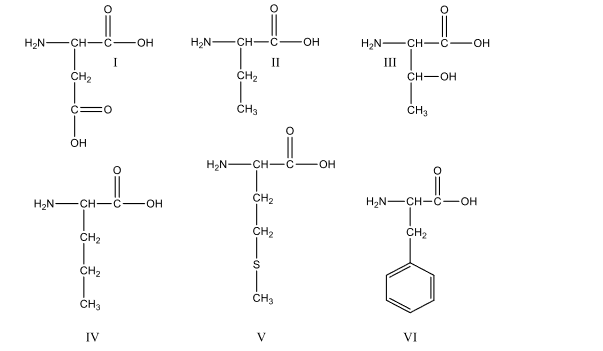 H2N-CH--
OH
H2N -CH-C-
H2N -CH-C
I
II
II
CH2
CH2
ČH-OH
ČHa
ČH3
OH
H2N -CH-C-
OH
H2N -CH-C
CH2
H2N-CH-C-OH
OH
CH2
CH2
CH2
CH2
ČH3
CH3
IV
V
VI
