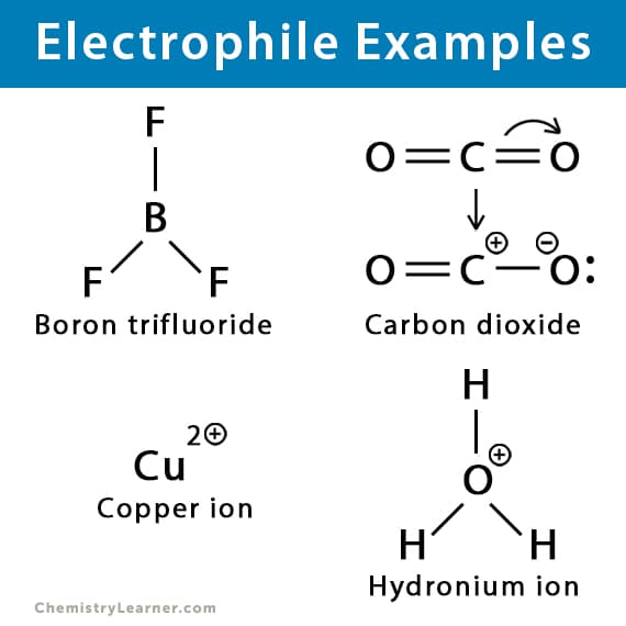Electrophile Examples
F
0=c=0
O=C=0
В
F
F
0=C-0:
Boron trifluoride
Carbon dioxide
H
20
Cu
Copper ion
H.
Hydronium ion
ChemistryLearner.com
