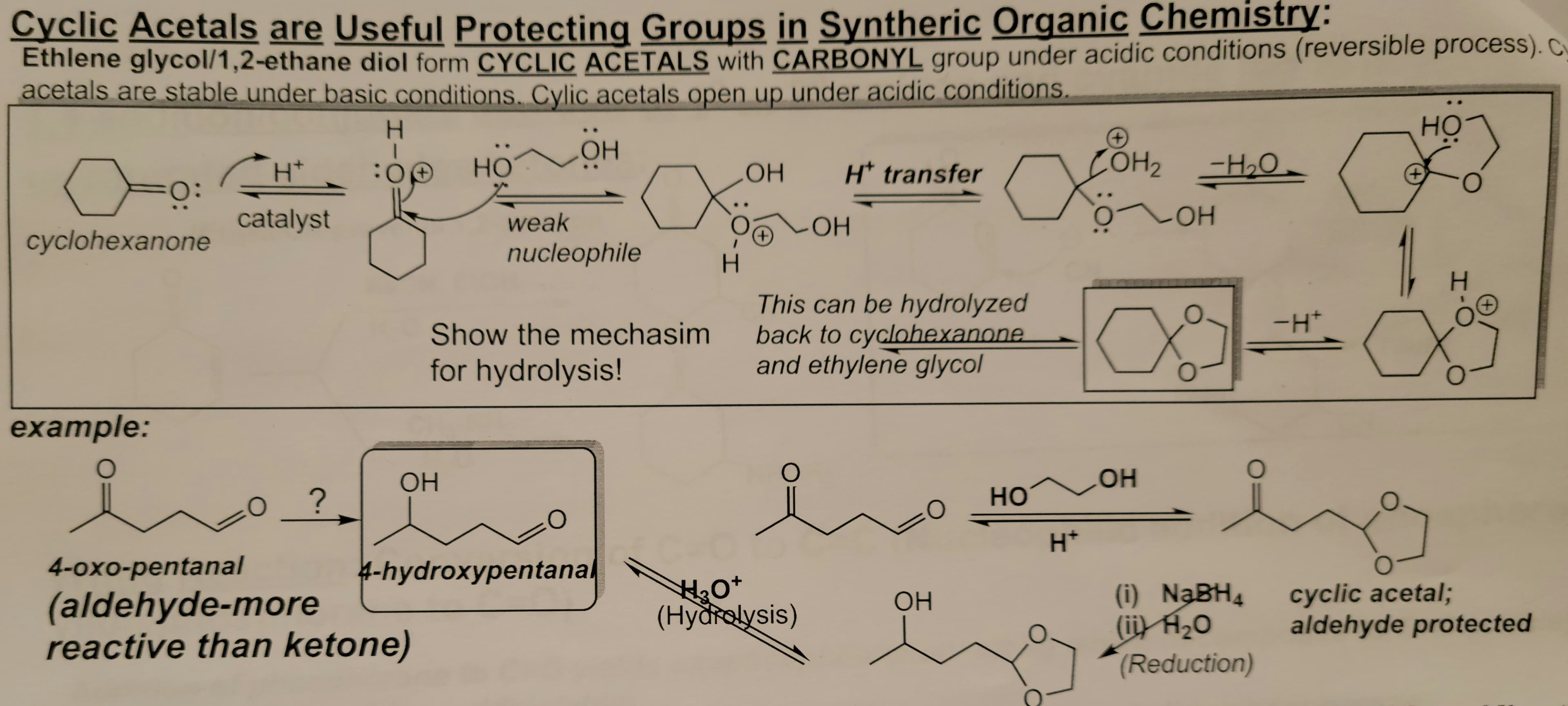 Cyclic Acetals are Useful Protecting Groups in Syntheric Organic Chemistry:
Ethlene glycol/1,2-ethane diol form CYCLIC ACETALS with CARBONYL group under acidic conditions (reversible process). C
acetals are stable under basic conditions. Cylic acetals open up under acidic conditions.
} O:
cyclohexanone
example:
O
H*
catalyst
O
?
H
:00
ОН
4-oxo-pentanal
(aldehyde-more
reactive than ketone)
HO
OH
weak
nucleophile
Show the mechasim
for hydrolysis!
O
4-hydroxypentanal
ОН
O
H
- ОН
H* transfer
This can be hydrolyzed
back to cyclohexanone
and ethylene glycol
O
H₂O*
0+
(Hydrolysis)
-0
OH
2
HO
H*
COH₂
OH
-H₂O
-OH
O
(i) NaBH4
(ii) H₂O
(Reduction)
-H*
HO
+
H
cyclic acetal;
aldehyde protected