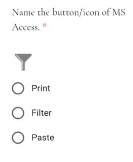 Name the button/icon of MS
Access.
O Print
O Filter
Paste
