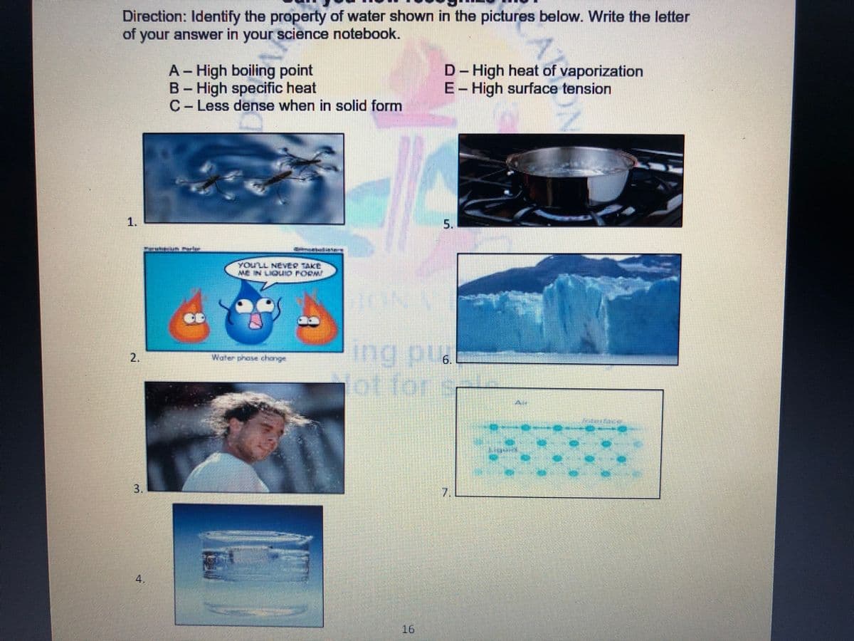 Direction: Identify the property of water shown in the pictures below. Write the letter
of your answer in your science notebook.
A– High boiling point
B- High specific heat
C- Less dense when in solid form
D- High heat of vaporization
E- High surface tension
%3D
1.
5.
YOU'LL NEVER TAKE
ME IN LIOUIO FORM
ing pua
1ot fors
Water phose change
6.
7.
4.
16
2.
3.
