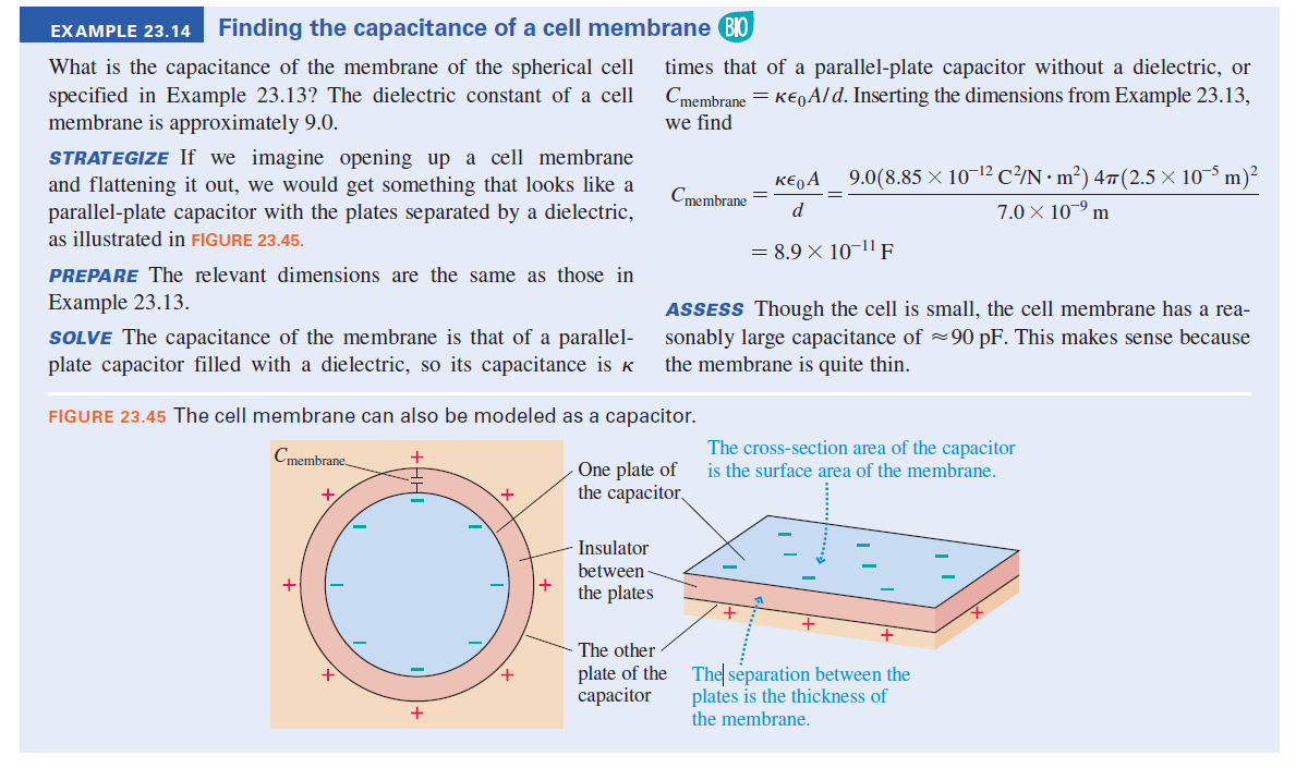 Finding the capacitance of a cell membrane BIO
EXAMPLE 23.14
What is the capacitance of the membrane of the spherical cell
specified in Example 23.13? The dielectric constant of a cell
membrane is approximately 9.0.
times that of a parallel-plate capacitor without a dielectric, or
Cmembrane = K€0A/d. Inserting the dimensions from Example 23.13,
we find
STRATEGIZE If we imagine opening up a cell membrane
and flattening it out, we would get something that looks like a
parallel-plate capacitor with the plates separated by a dielectric,
as illustrated in FIGURE 23.45.
K€,A
9.0(8.85 × 10-12 c²¾N•m²) 4#(2.5 × 10-5 m)²
Cmembrane
d
7.0× 10-9 m
= 8.9 × 10-1! F
PREPARE The relevant dimensions are the same as those in
Example 23.13.
ASSESS Though the cell is small, the cell membrane has a rea-
SOLVE The capacitance of the membrane is that of a parallel- sonably large capacitance of 90 pF. This makes sense because
plate capacitor filled with a dielectric, so its capacitance is k
the membrane is quite thin.
FIGURE 23.45 The cell membrane can also be modeled as a capacitor.
The cross-section area of the capacitor
Cmembrane,
One plate of
the capacitor
is the surface area of the membrane.
+
Insulator
between
+
the plates
- The other
plate of the The separation between the
сараcitor
plates is the thickness of
the membrane.
+
