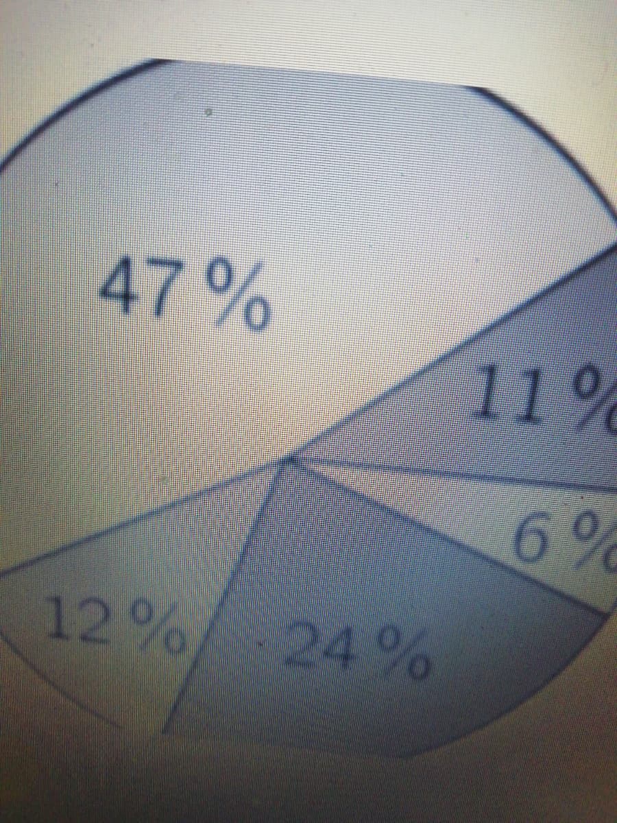 47%
11%
6%
12%
24%
