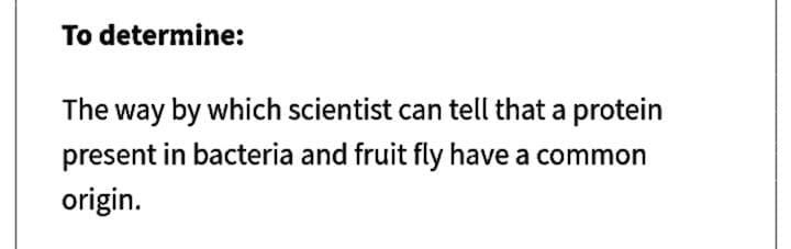 To determine:
The way by which scientist can tell that a protein
present in bacteria and fruit fly have a common
origin.