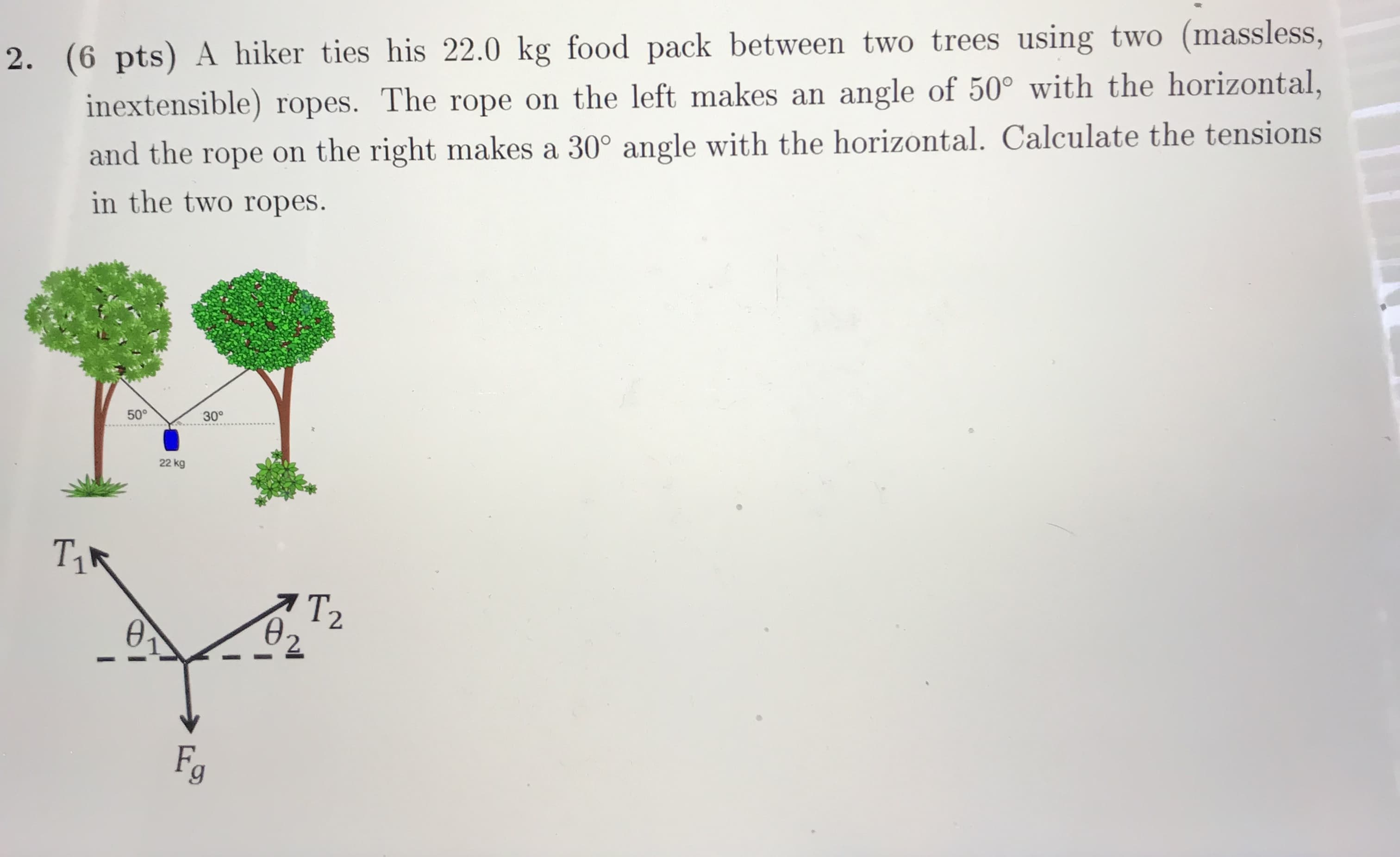 2. (6 pts) A hiker ties his 22.0 kg food pack between two trees using two (massless,
inextensible) ropes. The rope on the left makes an angle of 50° with the horizontal,
and the rope on the right makes a 30° angle with the horizontal. Calculate the tensions
in the two ropes.
50°
30°
22 kg
T2
Fg
