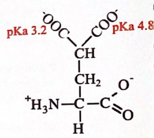 0OC-
РКa 4.8
pКa 3.2
CH,
*H;N-C-C
H
