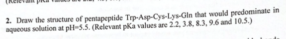 2. Draw the structure of pentapeptide Trp-Asp-Cys-Lys-Gln that would predominate in
aqueous solution at pH=5.5. (Relevant pKa values are 2.2, 3.8, 8.3, 9.6 and 10.5.)
