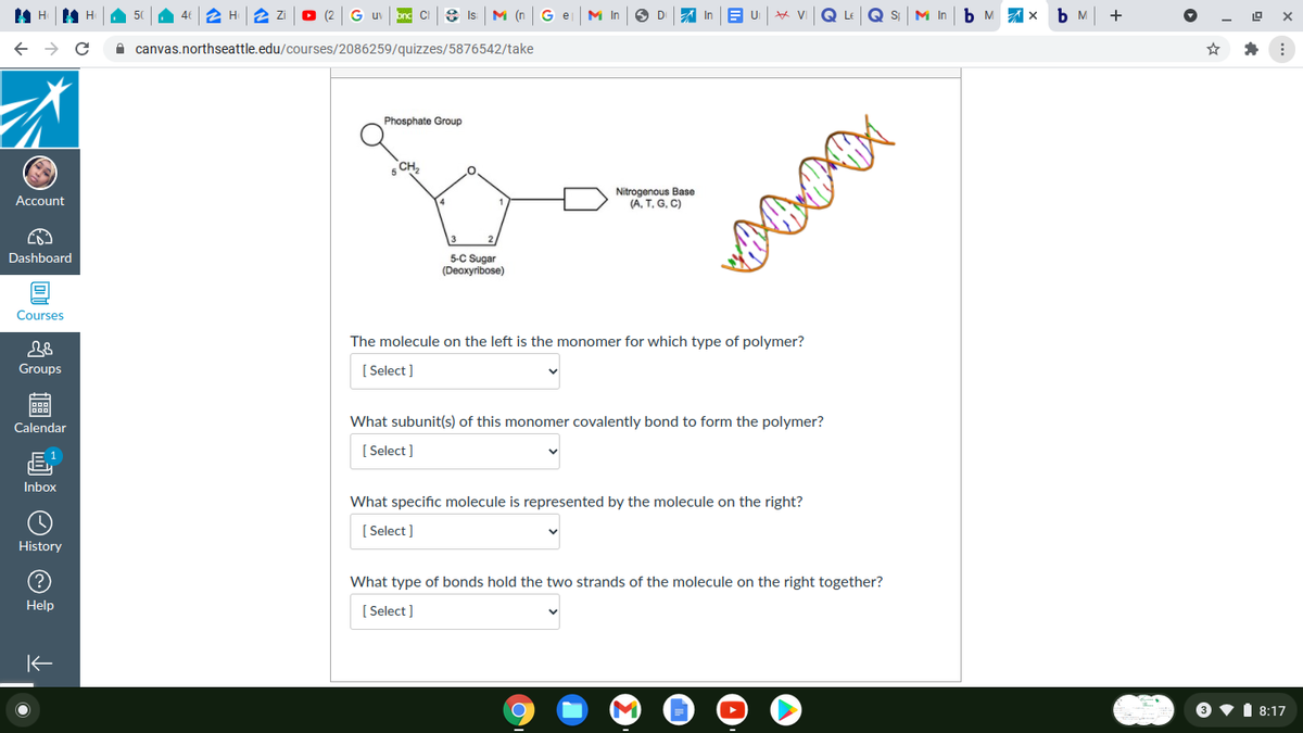 46
2 H
G
CI
8 Is
M (n Ge
M In
In
VI
LE
Q S
M In b M X
+
uv
A canvas.northseattle.edu/courses/2086259/quizzes/5876542/take
Phosphate Group
5 CH,
Nitrogenous Base
(A, T, G, C)
Account
Dashboard
5-C Sugar
(Deoxyribose)
Courses
The molecule on the left is the monomer for which type of polymer?
Groups
[ Select ]
Calendar
What subunit(s) of this monomer covalently bond to form the polymer?
[ Select ]
Inbox
What specific molecule is represented by the molecule on the right?
[ Select]
History
What type of bonds hold the two strands of the molecule on the right together?
Help
[ Select ]
3 •1 8:17
