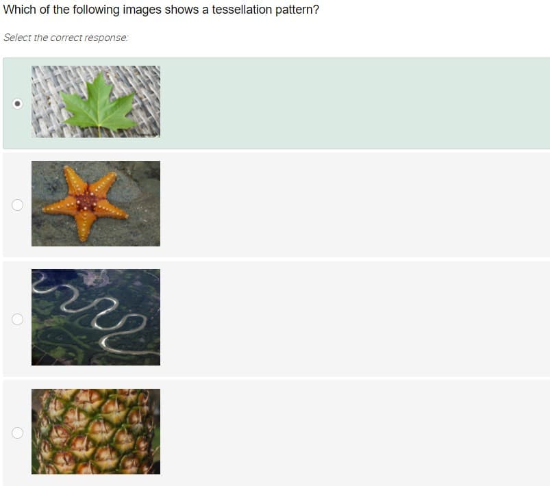 Which of the following images shows a tessellation pattern?
Select the correct response:
