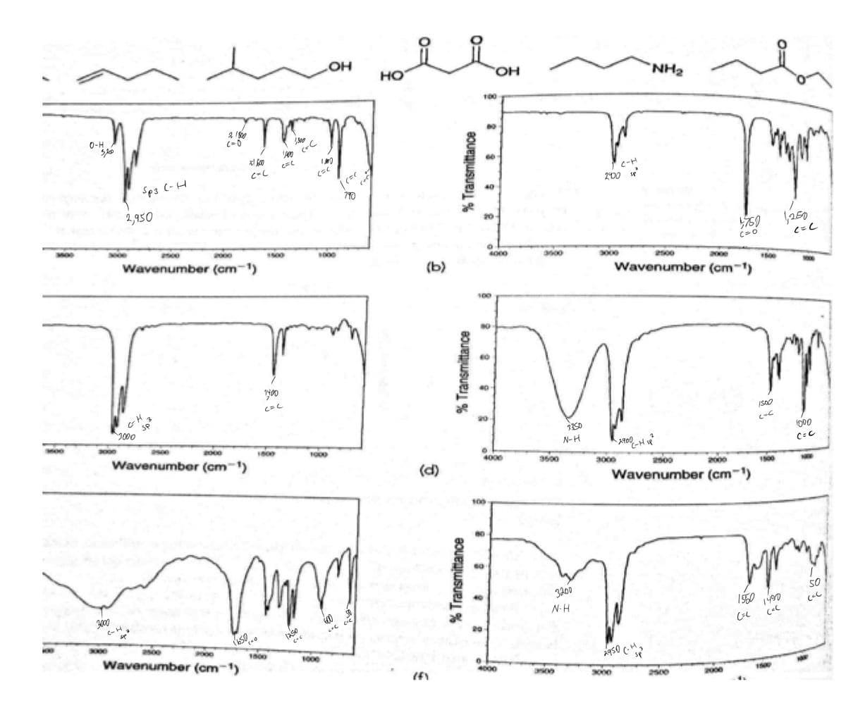 HO
NH2
100
O-H
C= 0
al 60
C-H
Sp3 C-H
200 se
790
40
2,950
20-
2000
1500
C=0
Wavenumber (cm-1)
H000
4000
(b)
200
200e
Wavenumber (cm-1)
100
1400
20
3350
2500
000
100
N-H
Wavenumber (cm-')
1000
A90
C=C
4000
3500
(d)
3000
2500
2000
1500
Wavenumber (cm-1)
100
3200
SO
300
N-H
I550
1490
laso
20
2500
000
Wavenumber (cm-1)
1500
1000
4000
2500
2000
1500
% Transmitance
% Transmittance
% Transmittance
