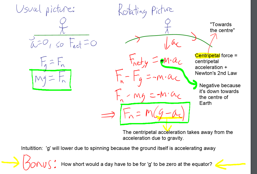 Usual picture:
Rohting Pictue
"Towards
the centre"
a-0, so Fact =0
E- Fn
Lac
Frety pM-ac
Centripetal force =
centripetal
acceleration +
Newton's 2nd Law
my=F
Negative because
it's down towards
the centre of
Earth
Fn= MCg-a),
The centripetal acceleration takes away from the
acceleration due to gravity.
Intuitition: 'g' will lower due to spinning because the ground itself is accelerating away
Bonus:
How short would a day have to be for 'g' to be zero at the equator?
