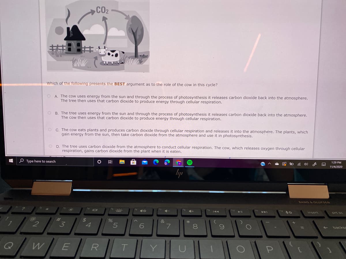 CO2
Which of the following presents the BEST argument as to the role of the cow in this cycle?
O A. The cow uses energy from the sun and through the process of photosynthesis it releases carbon dioxide back into the atmosphere.
The tree then uses that carbon dioxide to produce energy through cellular respiration.
O B. The tree uses energy from the sun and through the process of photosynthesis it releases carbon dioxide back into the atmosphere.
The cow then uses that carbon dioxide to produce energy through cellular respiration.
O C. The cow eats plants and produces carbon dioxide through cellular respiration and releases it into the atmosphere. The plants, which
gain energy from the sun, then take carbon dioxide from the atmosphere and use it in photosynthesis.
D. The tree uses carbon dioxide from the atmosphere to conduct cellular respiration. The cow, which releases oxygen through cellular
respiration, gains carbon dioxide from the plant when it is eaten.
O Type here to search
1:29 PM
底 中
11/4/2020
BANG &OLUFSEN
insert
prt sc
%23
24
4.
&
6
7
8.
backs
E
R
T.
Y
P
