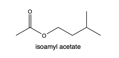O
isoamyl acetate