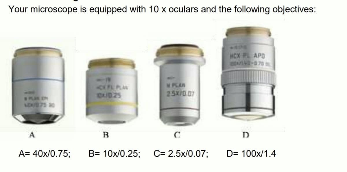 Your microscope is equipped with 10 x oculars and the following objectives:
+ADS
HCX P APO
CIPLPLAN
M PLAN
25x/0.0
A
B
C
D
A= 40x/0.75;
B= 10x/0.25;
C= 2.5x/0.07;
D= 100x/1.4

