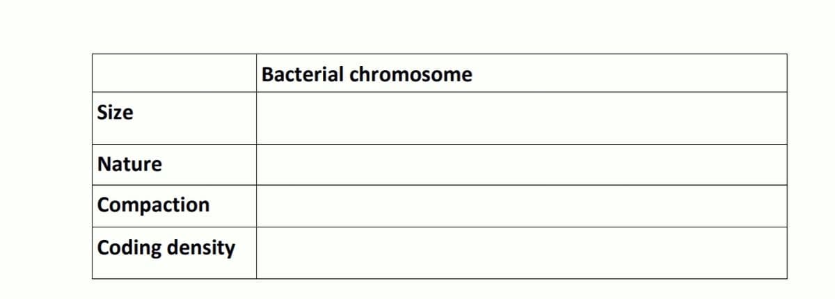 Bacterial chromosome
Size
Nature
Compaction
Coding density
