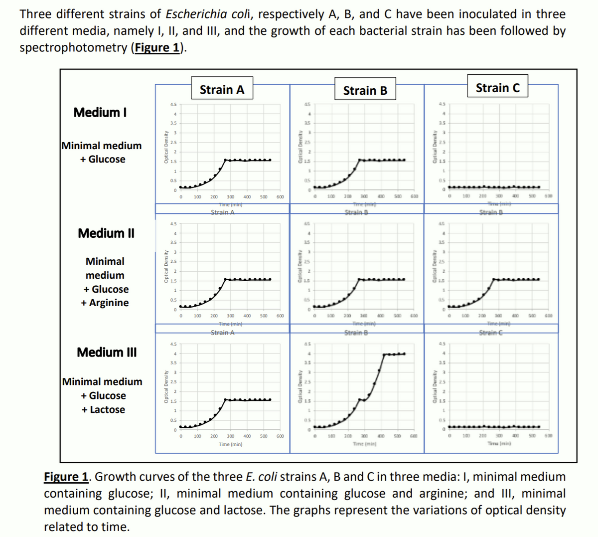Three different strains of Escherichia coli, respectively A, B, and C have been inoculated in three
different media, namely I, II, and III, and the growth of each bacterial strain has been followed by
spectrophotometry (Figure 1).
Strain A
Strain B
Strain C
4.5
45
Medium I
4.
3.5
25
2.5
3
Minimal medium
+ Glucose
2.5
25
1.5
15
0.5
as
05
100
200
300
400
500
600
100
200
100
00
s00
600
100
200
300
00
Time (min)
Strain A
सि
Strain B
etm
Strain B
4.5
Medium II
3.5
25
25
3
Minimal
2.5
25
medium
1.5
+ Glucose
+ Arginine
0.5
as
as
100
200
300
400
500
600
100
300
00
00
sa0
600
100
300
400
s00
600
me
Fime (mint
Strain A
Tme
StreinB
Streine
4.s
Medium III
4
4.
3.5
3.5
25
3
Minimal medium
+ Glucose
+ Lactose
2.5
25
25
1.5
15
1.
0.5
05
05
100
200
300
400
500
600
100
200
400
10
200
S00
S00
630
Time (min)
Tine imin]
Time (mini
Figure 1. Growth curves of the three E. coli strains A, B and C in three media:I, minimal medium
containing glucose; II, minimal medium containing glucose and arginine; and III, minimal
medium containing glucose and lactose. The graphs represent the variations of optical density
related to time.
Optical Density
Optical Density
Optical Density
Optical Deraty
Catial Density
Aag jeo
