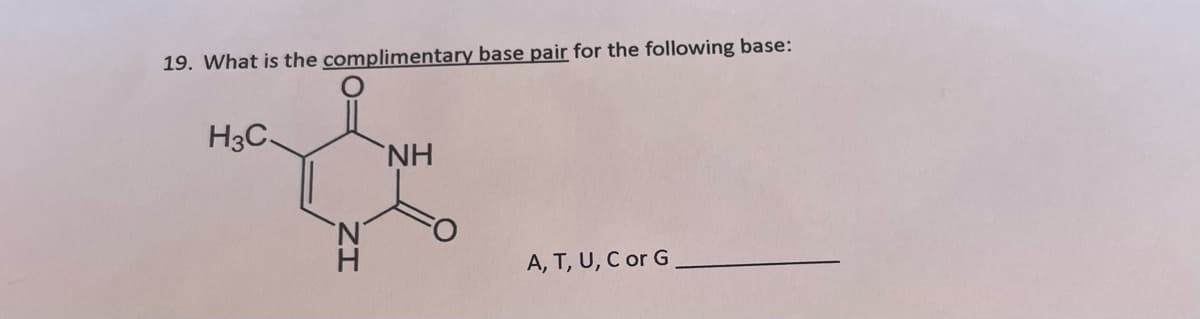 19. What is the complimentary base pair for the following base:
H3C
ZI
NH
A, T, U, C or G