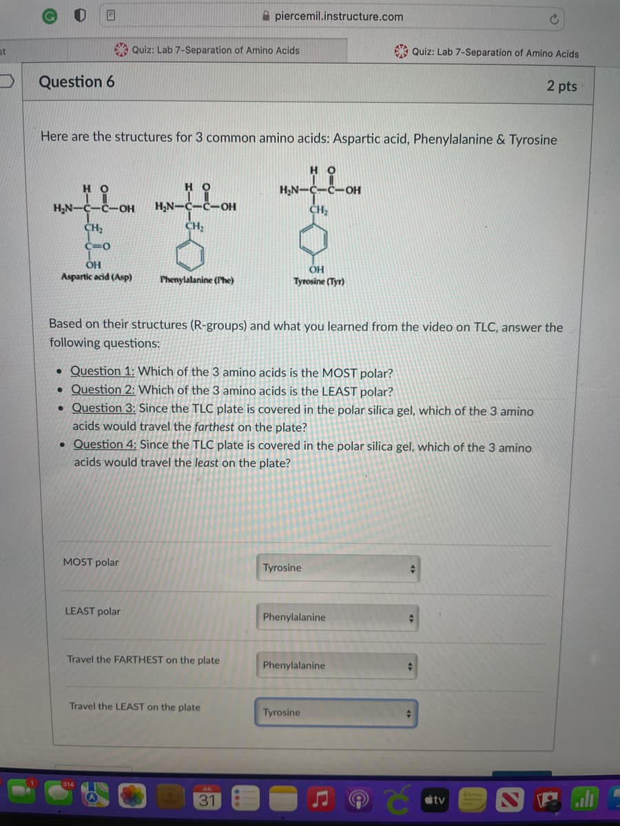 st
0
Question 6
HO
1
H₂N-C-C-OH
CH₂
C=0
Quiz: Lab 7-Separation of Amino Acids
OH
Aspartic acid (Asp)
Here are the structures for 3 common amino acids: Aspartic acid, Phenylalanine & Tyrosine
MOST polar
HO
H₂N-C-C-OH
CH₂
LEAST polar
Phenylalanine (Phe)
piercemil.instructure.com
Travel the FARTHEST on the plate
Question 1: Which of the 3 amino acids is the MOST polar?
Question 2: Which of the 3 amino acids is the LEAST polar?
Question 3: Since the TLC plate is covered in the polar silica gel, which of the 3 amino
acids would travel the farthest on the plate?
Question 4: Since the TLC plate is covered in the polar silica gel, which of the 3 amino
acids would travel the least on the plate?
Travel the LEAST on the plate
но
H₂N-C-C-OH
CH₂
Based on their structures (R-groups) and what you learned from the video on TLC, answer the
following questions:
31
ОН
Tyrosine (Tyr)
Tyrosine
Phenylalanine
Quiz: Lab 7-Separation of Amino Acids
Phenylalanine
Tyrosine
+
C
♦
+
2 pts
tv
E