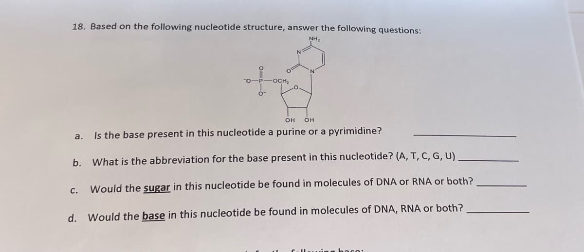 18. Based on the following nucleotide structure, answer the following questions:
NH₂
R
-OCH₂
a.
OH
OH
Is the base present in this nucleotide a purine or a pyrimidine?
b. What is the abbreviation for the base present in this nucleotide? (A, T, C, G, U)
c. Would the sugar in this nucleotide be found in molecules of DNA or RNA or both?
d. Would the base in this nucleotide be found in molecules of DNA, RNA or both?
a baco: